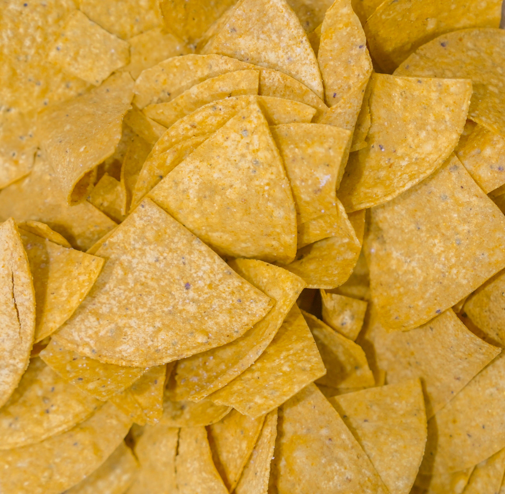 Tortiyas Organic Beef Tallow Chips Bag. Ingredients on the bag say organic corn, grass feed beef tallow, and celtic salt.